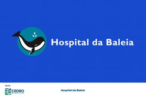 Com o apoio da Cedro Mineração, o projeto "Humanização no Cuidado do idoso Dialítico"do Hospital da Baleia promoverá a ampliação da atenção ao idoso que se encontra em estágio avançado da doença renal. Hospital da Baleia